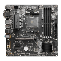 Preview: MSI PRO B550M-P GEN3