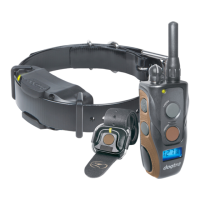 Preview: Dogtra 1900S HANDSFREE PLUS