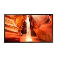 Preview: Samsung OM55N-S