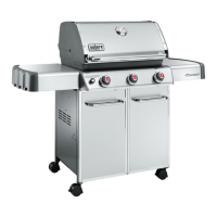Preview: Weber Genesis S-310