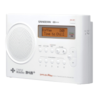 Preview: Sangean DPR-69+