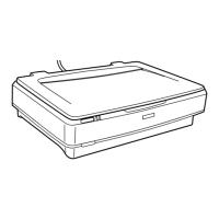 Preview: Epson Expression 13000XL