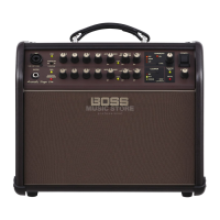 Preview: Boss Acoustic Singer Live