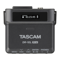 Preview: Tascam DR-10L Pro
