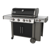 Preview: Weber Genesis II E-435