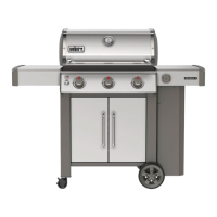Preview: Weber GENESIS II S-315