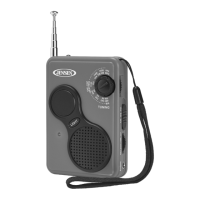 Preview: Jensen JEP-100