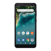 Preview: Consumer Cellular AVID 589