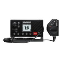 Preview: Simrad RS20