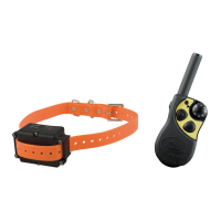 Preview: SportDOG FieldTrainer 400