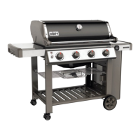 Preview: Weber GENESIS II E-410