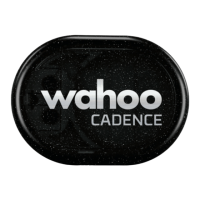 Preview: Wahoo RPM CADENCE