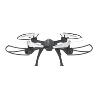 Preview: sky rider X-11 Stratosphere