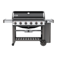 Preview: Weber GENESIS II E-610 LP