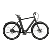 Preview: Crivit URBAN E-BIKE Y