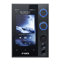Preview: Fiio R7