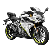 Preview: CF MOTO 250SR
