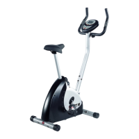 Preview: Schwinn 10 Series
