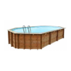 Swimming Pool Logo