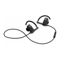 Preview: Bang & Olufsen Earset