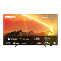 Preview: Philips 55PML9008