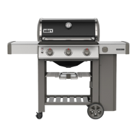 Preview: Weber Genesis II S-335