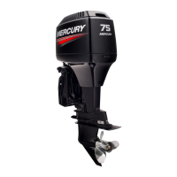 Preview: Mercury 75