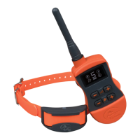 Preview: SportDOG SPORT TRAINER 875