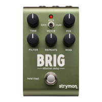 Preview: Strymon BRIG