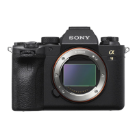 Preview: Sony a9 II
