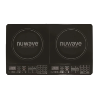 Preview: NuWave PIC DOUBLE