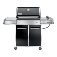 Preview: Weber Spirit E-320