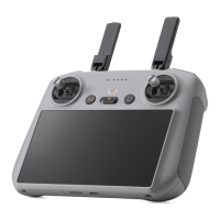 Preview: dji RC 2