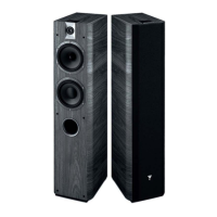 Preview: Focal Chorus 716
