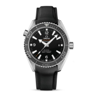 Preview: Seamaster Planet Ocean 600M