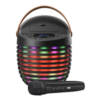 Preview: The Singing Machine SMC2020
