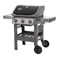 Preview: Weber E-220 GBS