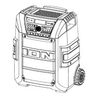 Preview: ION IPA150X