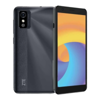 Preview: Zte BLADE L9
