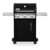 Preview: Weber E-315 GBS