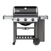 Preview: Weber genesis II E-310 GBS
