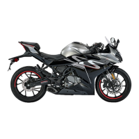 Preview: CF MOTO 300SS