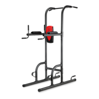 Preview: ICON WEIDER POWER TOWER