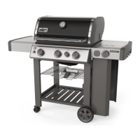 Preview: Weber E-330 GBS