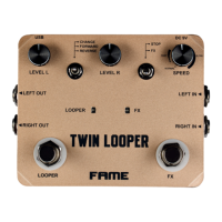 Preview: FAME Twin Looper