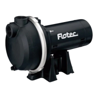 Preview: Flotec FP5172-08