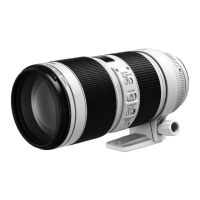 Preview: Canon EOS 5D Mark IV + 70-200mm