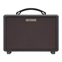 Preview: Boss AC-22LX