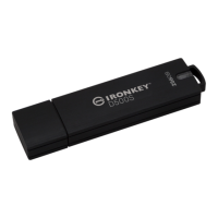 Preview: IRONKEY D500S