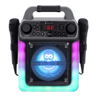 Preview: The Singing Machine SML2400